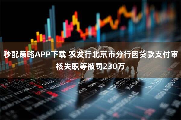 秒配策略APP下载 农发行北京市分行因贷款支付审核失职等被罚230万
