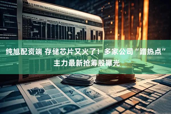 纯旭配资端 存储芯片又火了！多家公司“蹭热点” 主力最新抢筹股曝光