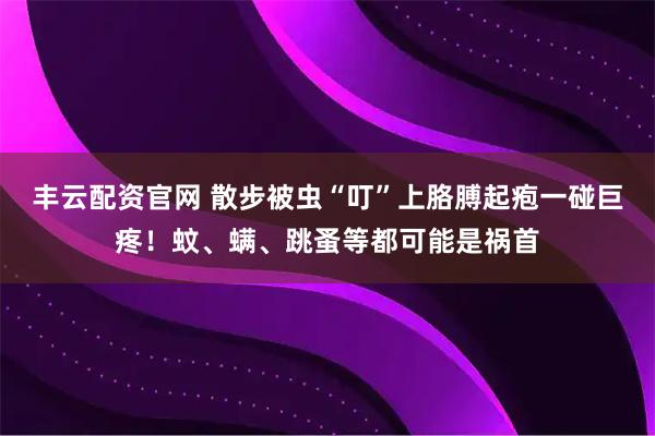 丰云配资官网 散步被虫“叮”上胳膊起疱一碰巨疼！蚊、螨、跳蚤等都可能是祸首