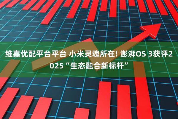 维嘉优配平台平台 小米灵魂所在! 澎湃OS 3获评2025“生态融合新标杆”