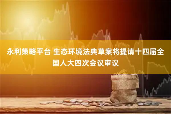 永利策略平台 生态环境法典草案将提请十四届全国人大四次会议审议