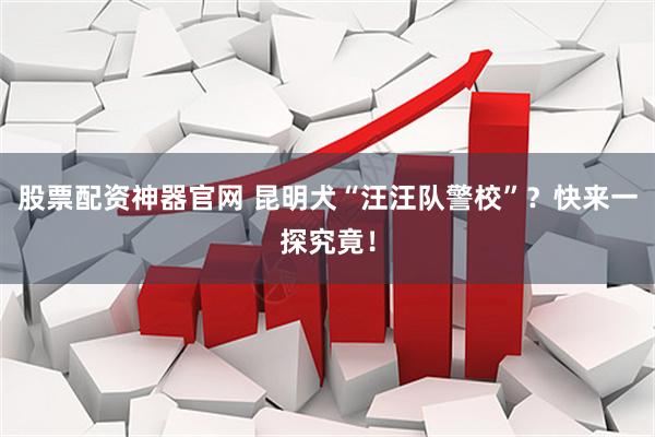 股票配资神器官网 昆明犬“汪汪队警校”？快来一探究竟！