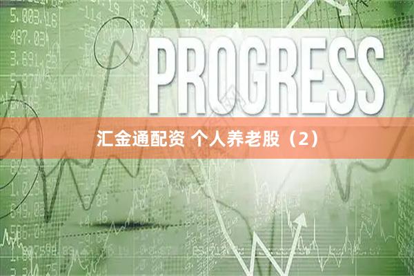 汇金通配资 个人养老股（2）