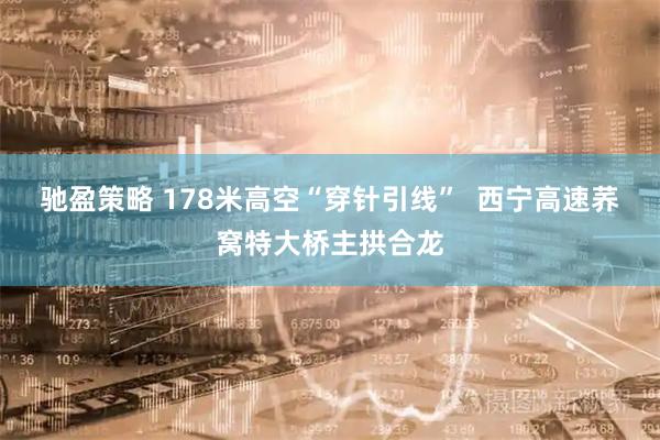 驰盈策略 178米高空“穿针引线”  西宁高速荞窝特大桥主拱合龙