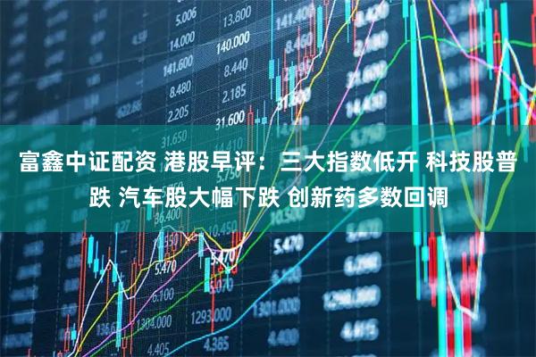 富鑫中证配资 港股早评：三大指数低开 科技股普跌 汽车股大幅下跌 创新药多数回调