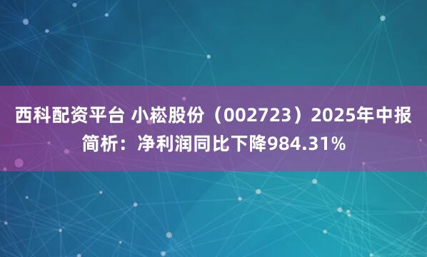 西科配资平台 小崧股份（002723）2025年中报简析：净利润同比下降984.31%